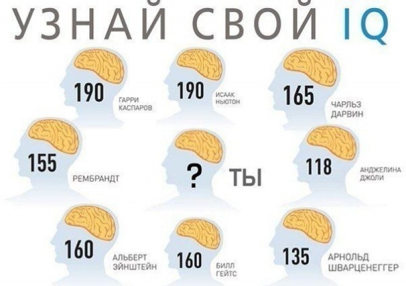 ТЕСТ НА IQ Узнай свой уровень интеллекта!